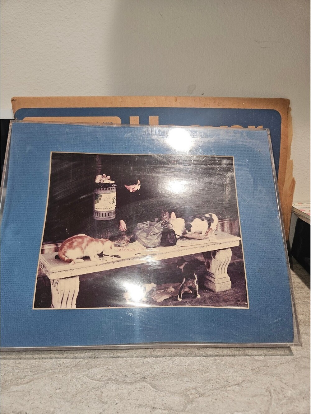 Vintage Photograph of Cats on Stone Bench in Blue Frame